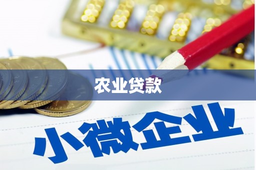 金乡农业贷款