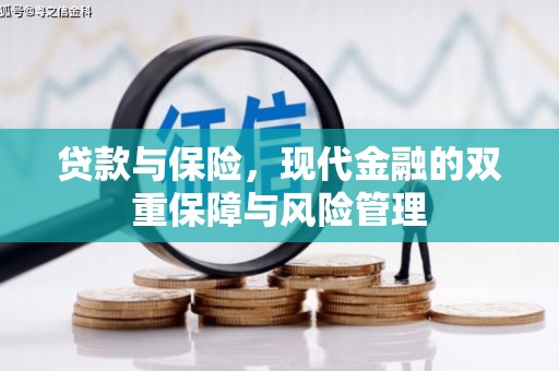 金乡贷款与保险，现代金融的双重保障与风险管理