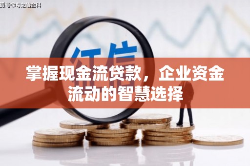 金乡掌握现金流贷款，企业资金流动的智慧选择