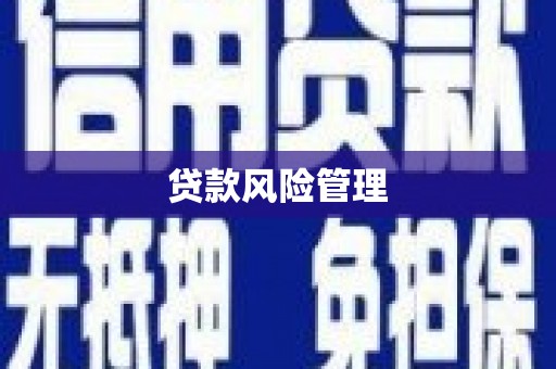 金乡贷款风险管理