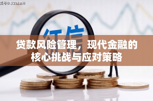金乡贷款风险管理，现代金融的核心挑战与应对策略