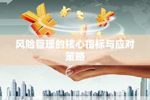 金乡风险管理的核心指标与应对策略