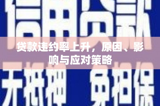 金乡贷款违约率上升，原因、影响与应对策略