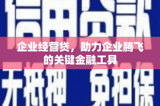 金乡企业经营贷，助力企业腾飞的关键金融工具