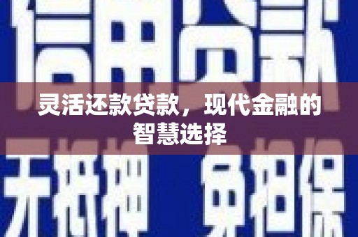 金乡灵活还款贷款，现代金融的智慧选择