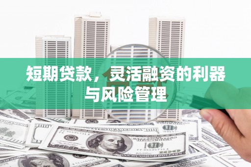 金乡短期贷款，灵活融资的利器与风险管理
