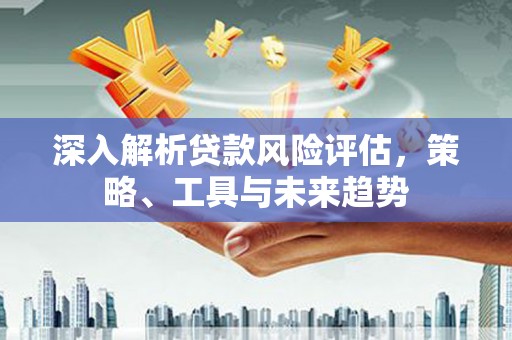 金乡深入解析贷款风险评估，策略、工具与未来趋势