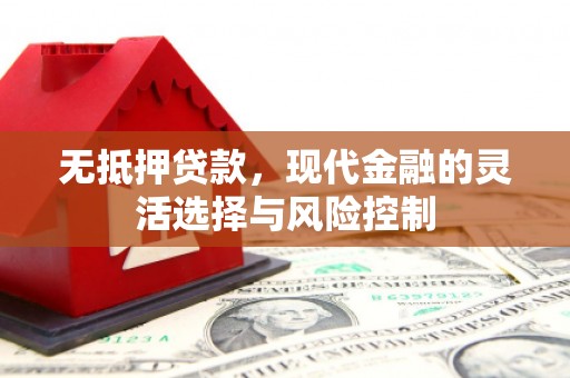 金乡无抵押贷款，现代金融的灵活选择与风险控制