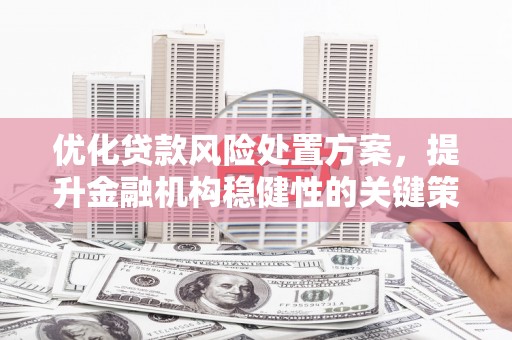 金乡优化贷款风险处置方案，提升金融机构稳健性的关键策略