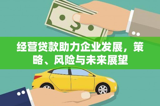 金乡经营贷款助力企业发展，策略、风险与未来展望