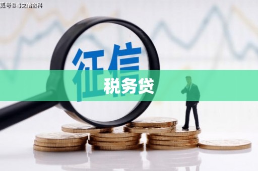 金乡税务贷