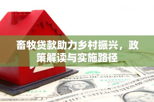 金乡畜牧贷款助力乡村振兴，政策解读与实施路径
