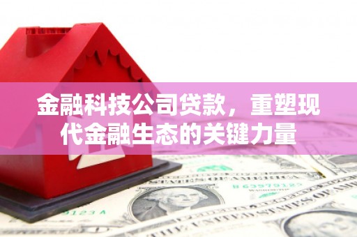 金乡金融科技公司贷款，重塑现代金融生态的关键力量