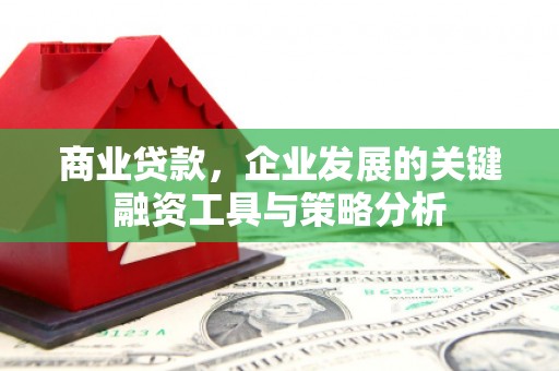 金乡商业贷款，企业发展的关键融资工具与策略分析