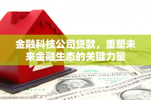 金乡金融科技公司贷款，重塑未来金融生态的关键力量