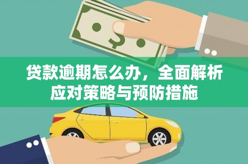 金乡贷款逾期怎么办，全面解析应对策略与预防措施