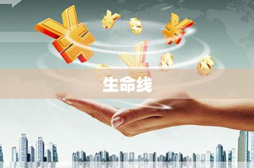 金乡生命线