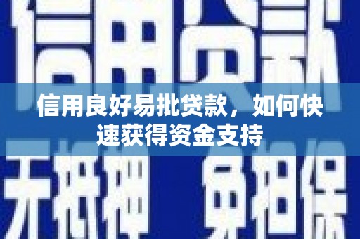 金乡信用良好易批贷款，如何快速获得资金支持