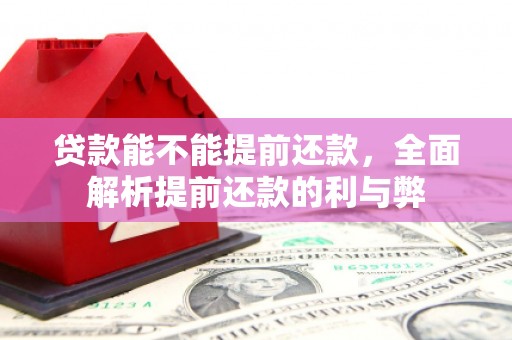 金乡贷款能不能提前还款，全面解析提前还款的利与弊