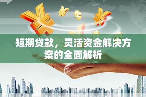 金乡短期贷款，灵活资金解决方案的全面解析