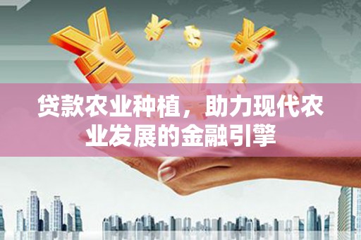 金乡贷款农业种植，助力现代农业发展的金融引擎