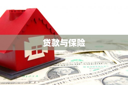 金乡贷款与保险