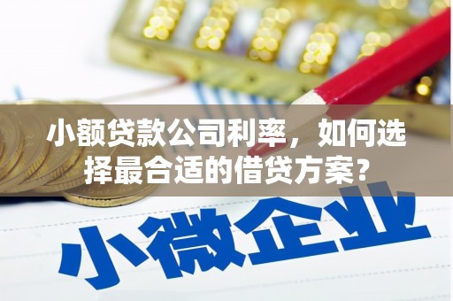 金乡小额贷款公司利率，如何选择最合适的借贷方案？