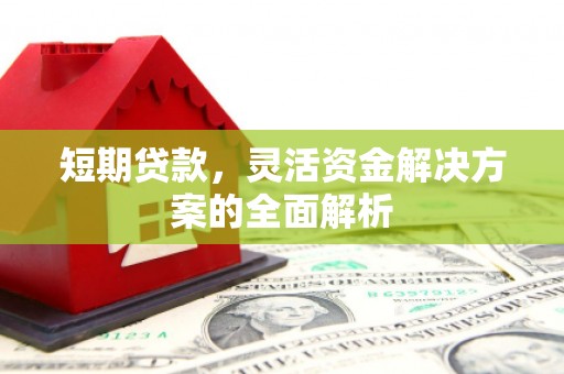 金乡短期贷款，灵活资金解决方案的全面解析