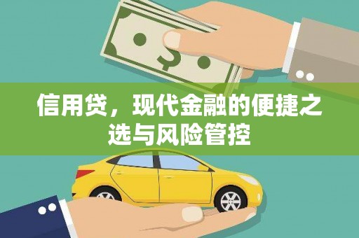 金乡信用贷，现代金融的便捷之选与风险管控