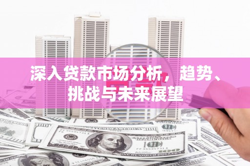 金乡深入贷款市场分析，趋势、挑战与未来展望