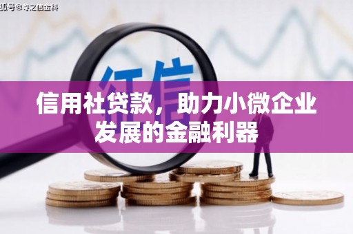 金乡信用社贷款，助力小微企业发展的金融利器