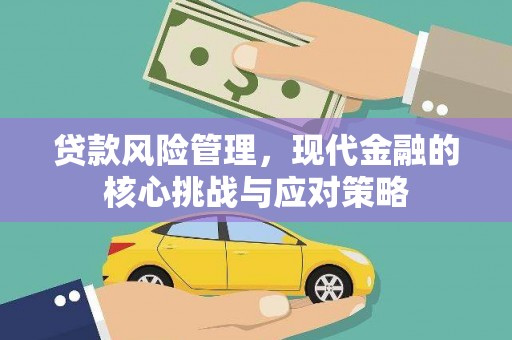 金乡贷款风险管理，现代金融的核心挑战与应对策略