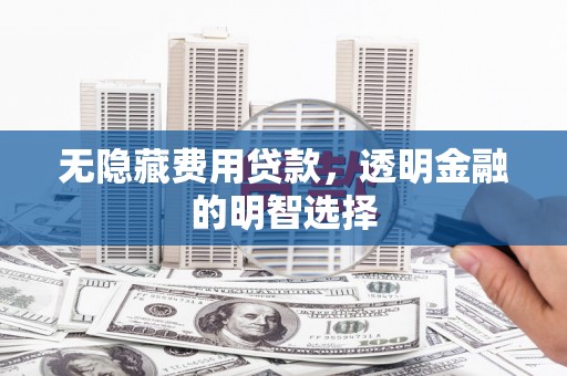 金乡无隐藏费用贷款，透明金融的明智选择
