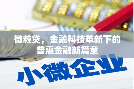 金乡微粒贷，金融科技革新下的普惠金融新篇章