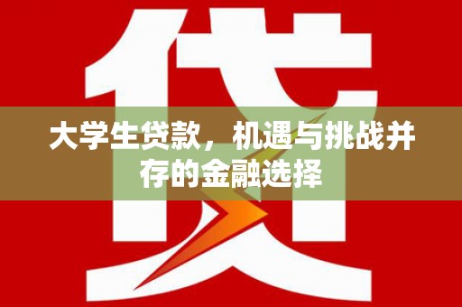 金乡大学生贷款，机遇与挑战并存的金融选择