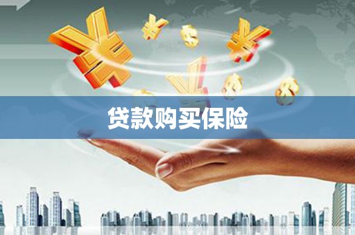 金乡贷款购买保险