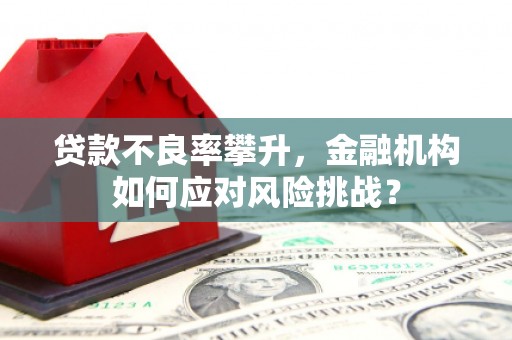 金乡贷款不良率攀升，金融机构如何应对风险挑战？
