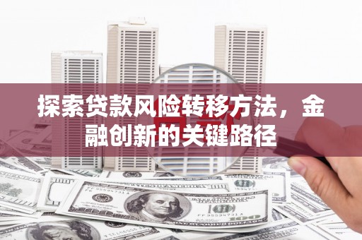 金乡探索贷款风险转移方法，金融创新的关键路径