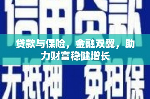 金乡贷款与保险，金融双翼，助力财富稳健增长