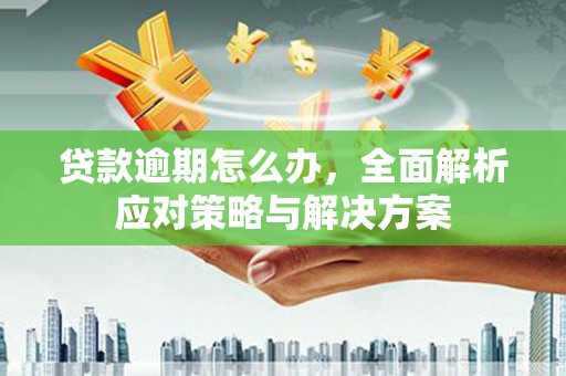 金乡贷款逾期怎么办，全面解析应对策略与解决方案
