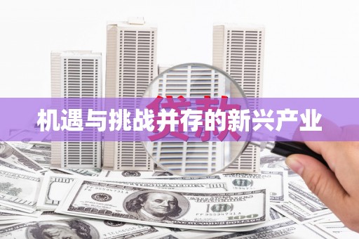金乡机遇与挑战并存的新兴产业