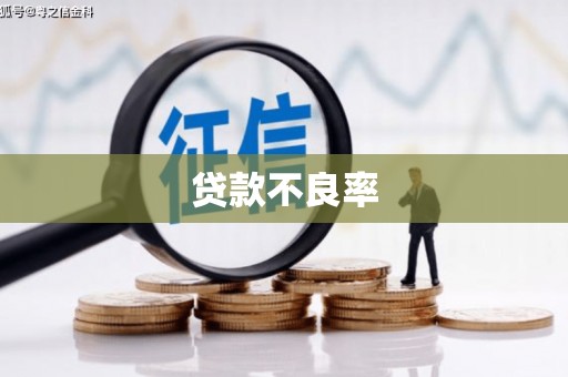 金乡贷款不良率
