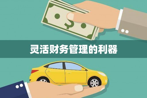金乡灵活财务管理的利器