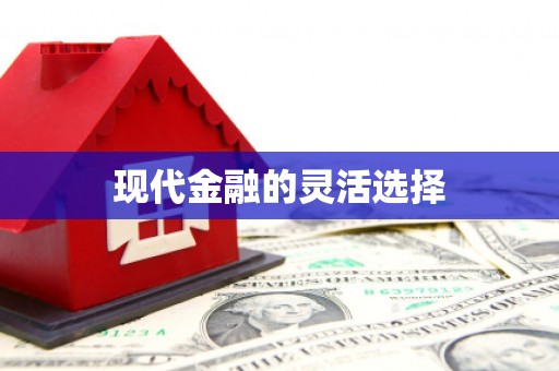 金乡现代金融的灵活选择