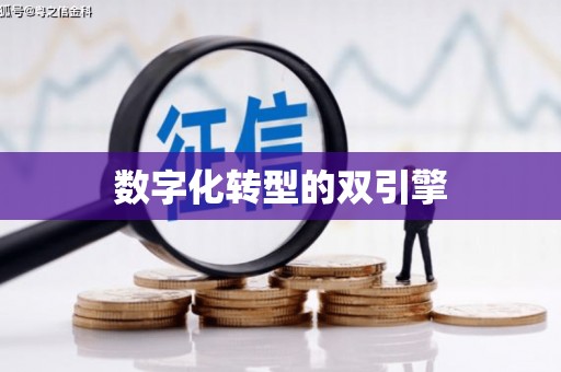 金乡数字化转型的双引擎