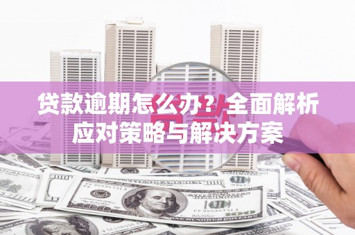 金乡贷款逾期怎么办？全面解析应对策略与解决方案