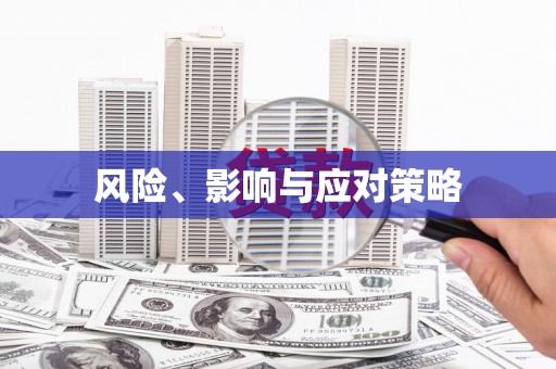 金乡风险、影响与应对策略