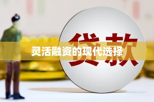金乡灵活融资的现代选择