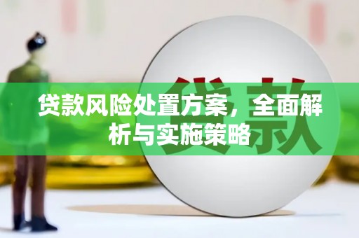 金乡贷款风险处置方案，全面解析与实施策略