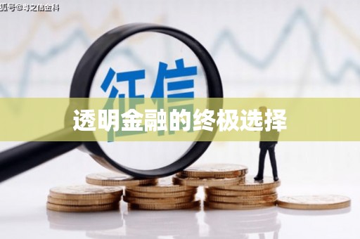 金乡透明金融的终极选择